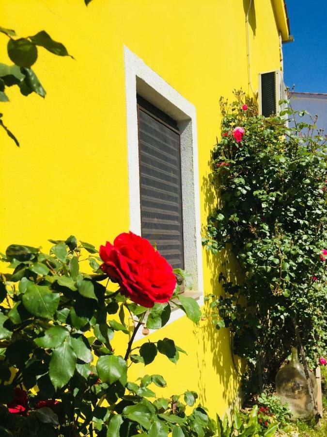Apartment Josipa بريمونتيرا المظهر الخارجي الصورة